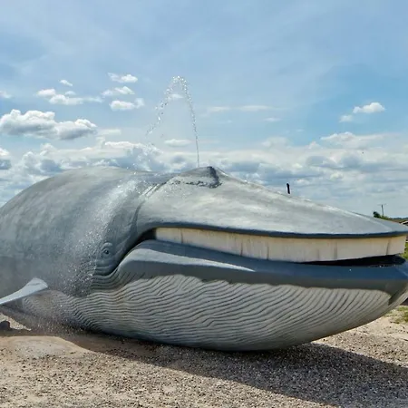 Apartment Klifowa 18 *